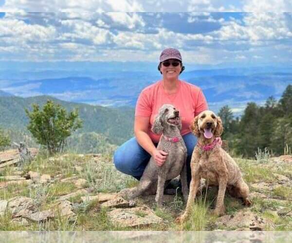 Medium Photo #2  Breeder Profile in WRAY, CO, USA
