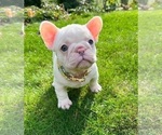 Small #3 Breeder Profile image
