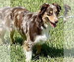 Small #16 Breeder Profile image