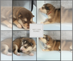 Small #2 Breeder Profile image