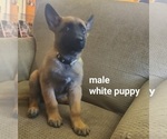 Small #4 Breeder Profile image