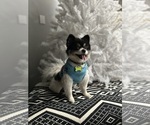Small #10 Breeder Profile image