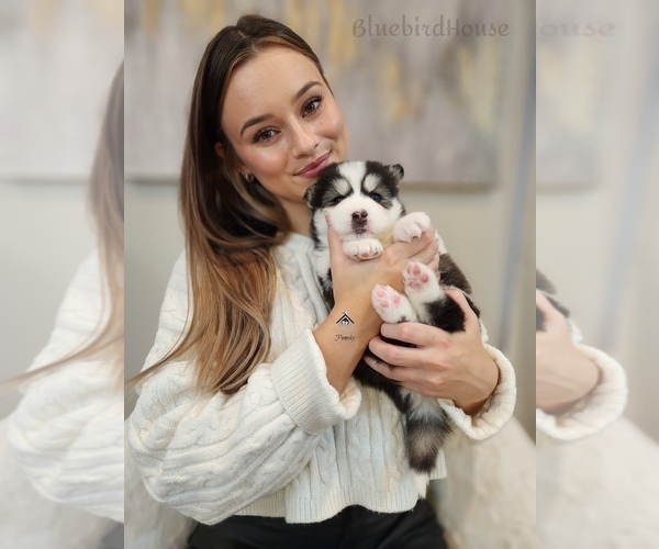 Medium Photo #1  Breeder Profile in BURNS TOWNSHIP, MN, USA