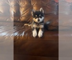 Small #22 Breeder Profile image