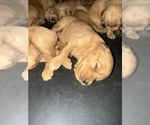 Small #8 Breeder Profile image