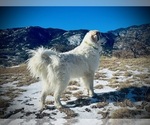 Small #13 Breeder Profile image