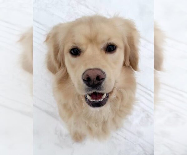 Medium Photo #15  Breeder Profile in Aylmer, Ontario, Canada