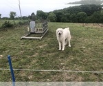 Small #1 Breeder Profile image