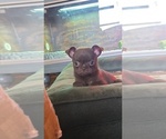 Small #1 Breeder Profile image