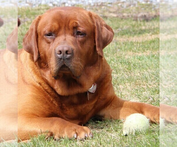 Medium Photo #4  Breeder Profile in HYDE PARK, VT, USA