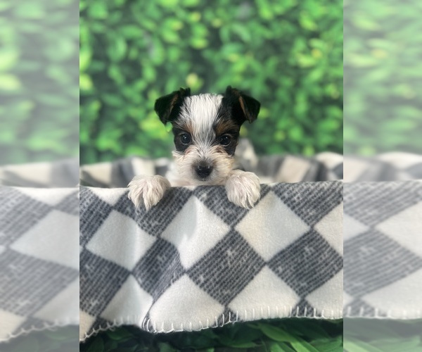 Medium Photo #3  Breeder Profile in PEYTON, CO, USA