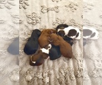 Small #3 Breeder Profile image