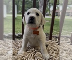 Small #3 Breeder Profile image