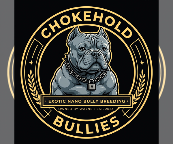 Medium Photo #1  Breeder Profile in BOSTON, MA, USA