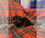 Small #6 Breeder Profile image