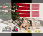 Small #8 Breeder Profile image