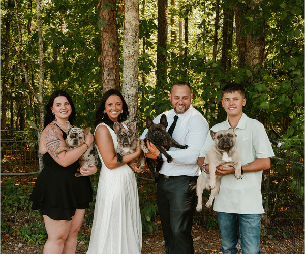 Medium Photo #1  Breeder Profile in DECATUR, IL, USA