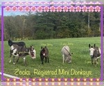 Small #3 Breeder Profile image