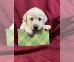 Small Photo #17  Breeder Profile in DOWNING, WI, USA