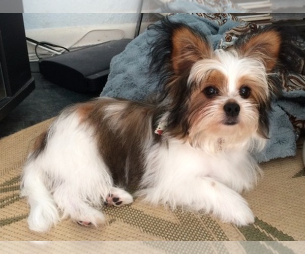 Medium Photo #1  Breeder Profile in GRAND ISLAND, NE, USA