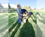 Small #10 Breeder Profile image