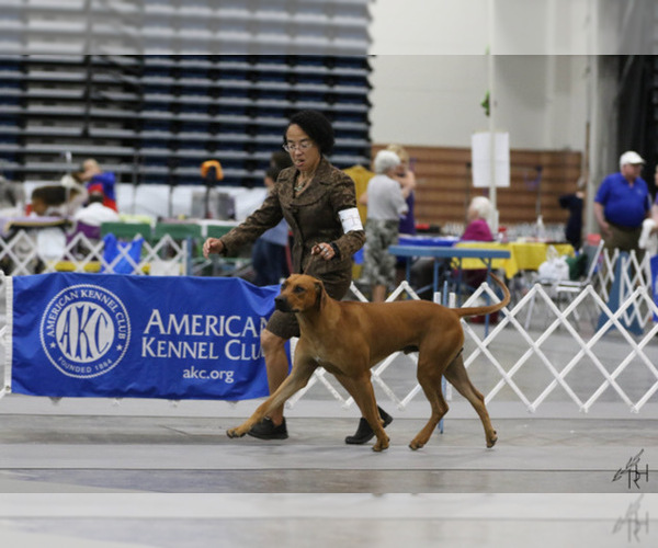 Medium Photo #19  Breeder Profile in CALDWELL, TX, USA