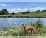 Small #8 Breeder Profile image