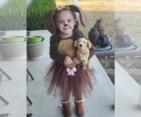 Medium Photo #17  Breeder Profile in CASSVILLE, MO, USA