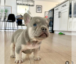 Small #4 Breeder Profile image