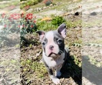 Small #1 Breeder Profile image