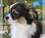 Small #11 Breeder Profile image