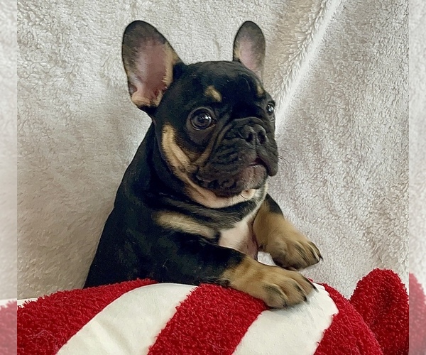 Medium Photo #13  Breeder Profile in KALISPELL, MT, USA