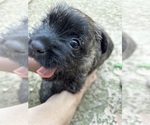 Small #9 Breeder Profile image