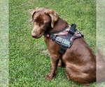 Small #2 Breeder Profile image