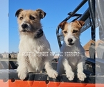 Small #3 Breeder Profile image