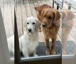 Small #11 Breeder Profile image
