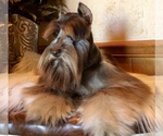 Small #1 Breeder Profile image