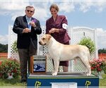 Small #16 Breeder Profile image
