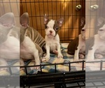 Small #19 Breeder Profile image