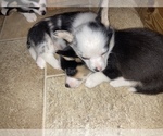 Small #27 Breeder Profile image