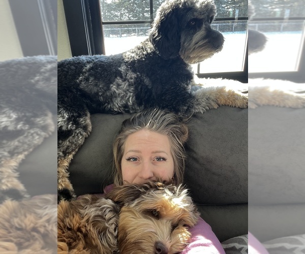 Medium Photo #28  Breeder Profile in SHIOCTON, WI, USA