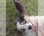 Small #6 Breeder Profile image