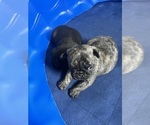 Small #2 Breeder Profile image