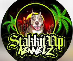 Medium Breeder Profile Photo