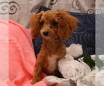 Small #25 Breeder Profile image