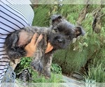 Small #10 Breeder Profile image
