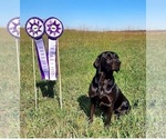 Small #3 Breeder Profile image