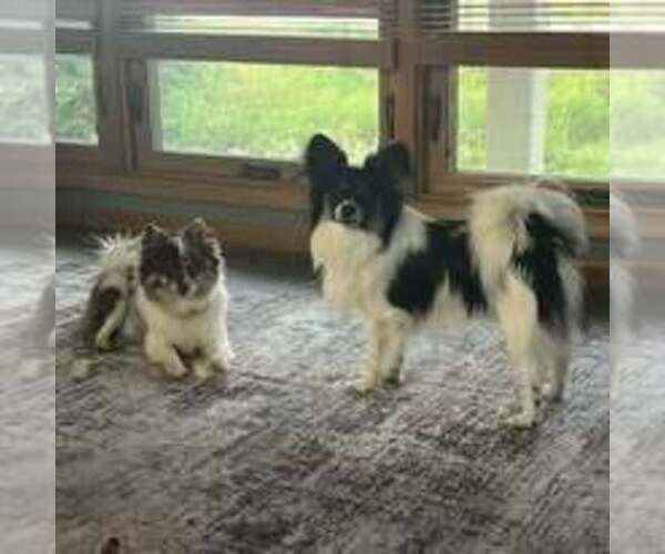 Medium Photo #3  Breeder Profile in OTHO, IA, USA