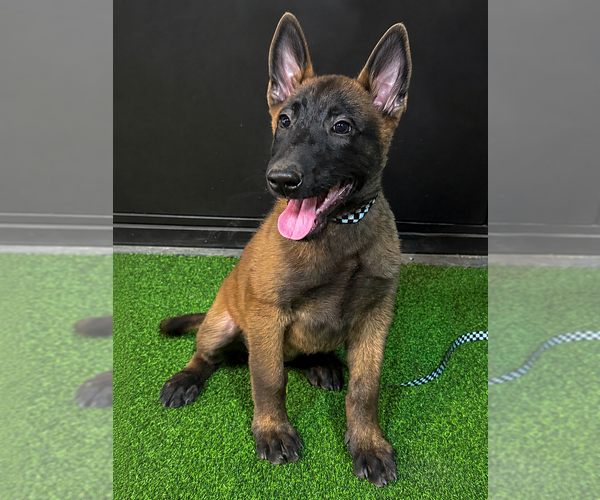 Medium Photo #1  Breeder Profile in OROVILLE, CA, USA