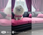 Small #22 Breeder Profile image